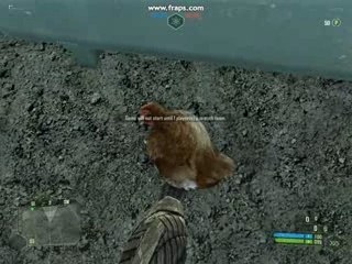 Crysis Beta: Coq Résistant