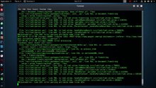 Kali Linux Tools -XSSCRAPY XSS SQLi Spider