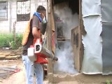 Operativo de fumigacion en barrios y colonias de San Pedro Sula