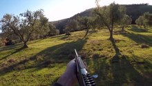 video chasse sanglier 2017