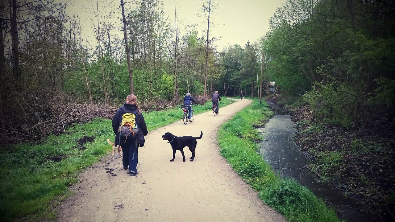 Ausflug nach Dortmund in das NSG Bolmke