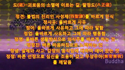 나는 누구인가[라마나 마하리쉬]편 (명상음악나레이션), 붓다매트릭스불교뮤비(5/9pt) [CRAMV-064 추출]