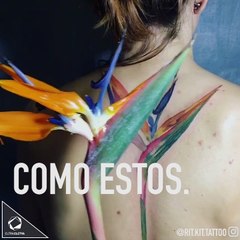 Los tatuajes botánicos más perfectos