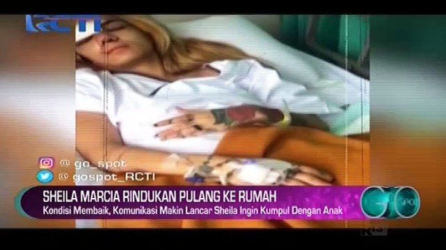 Kondisi Membaik, Sheila Marcia Ingin Pulang