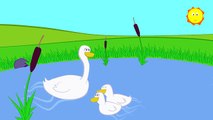Childrens Songs - Three Little Ducks - Kid's Nursery Rhymes, Music & Songs