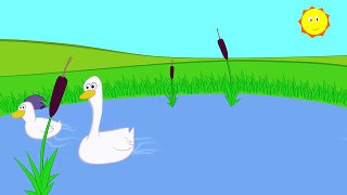 Childrens Songs - Three Little Ducks -
