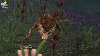 Finger Family Crocodile Family Rhymes _ Animals Cartoon Finge