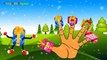 Finger Family Nursery Rhymes ( Christmas Gifts Cartoon ) Daddy Finger Song Rhyme _ Children's Songs