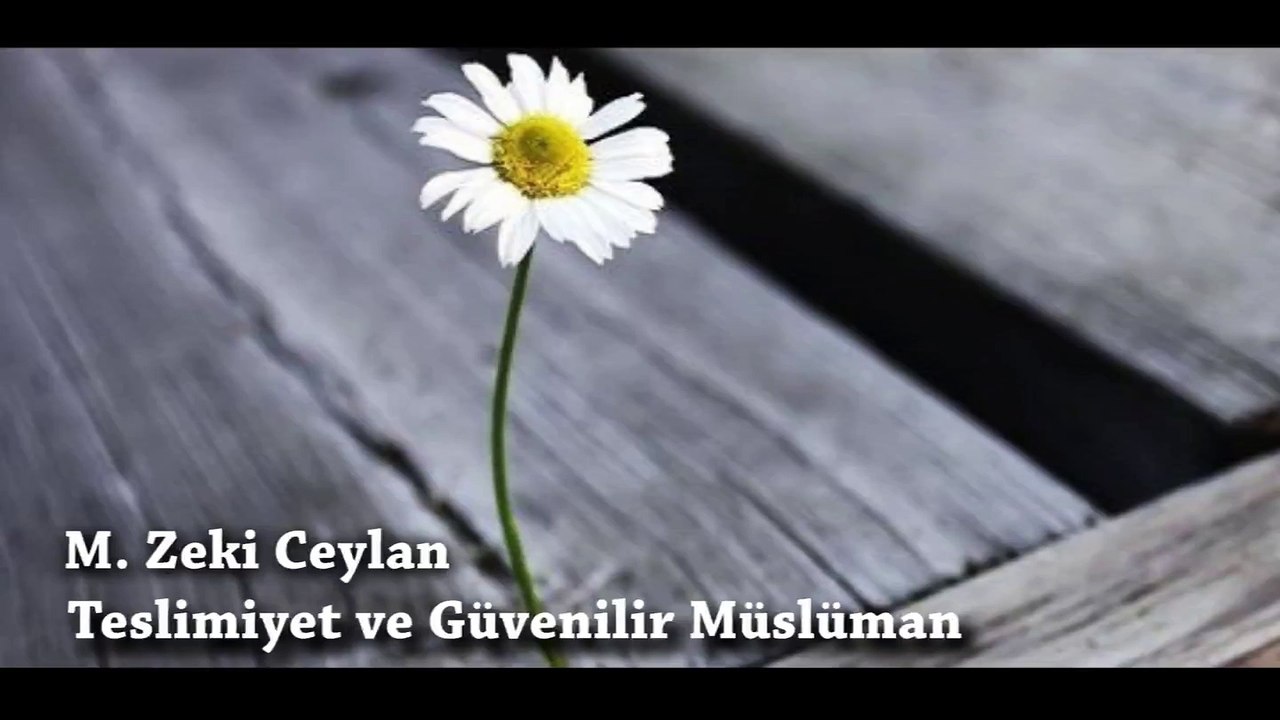 Teslimiyet ve Güvenilir Müslüman nasıl olmalı? - M. Zeki Ceylan