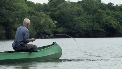 The Biggest Arapaima Fish Caught In Lake