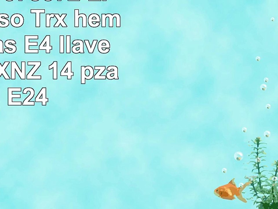 Silverline 675072 Llaves de vaso Trx hembra 14 pzas E4  llaves de vaso XNZ 14 pzas E4