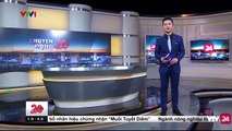 Giải _Điêu Khắc Cát_ Lần Đầu Tiên Tại Việt Nam - Tin Tức VTV1