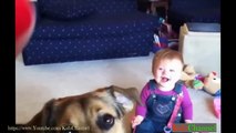 funny-baby-laughing-so-cute-baby-videos-compilation-2015-part-12