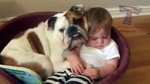 Babies and pets having fun together - Funny and cute baby & animal compilation_2