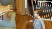 Babies and pets having fun together - Funny and cute baby & animal compilation_4