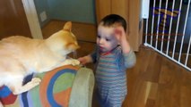 Babies and pets having fun together - Funny and cute baby & animal compilation_5