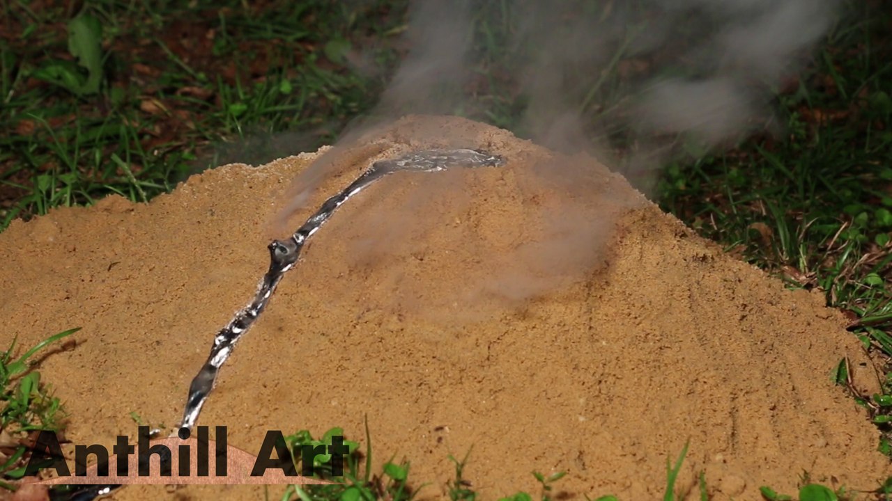Five Fire Ant Colony Casting Session Part 1: Casts 1 & 2