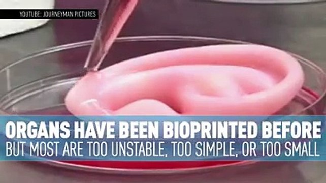 El futuro de los trasplantes de órganos podría ser la impresión 3D. (Via V ...