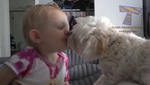 http://www.dailymotion.com/video/x5lijd3_babies-and-pets-having-fun-together-funny-and-cute-baby-animal-compilation-1_school523