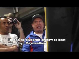 Mayweather (49-0) Rips Conor - McGregor (4 losses Diaz x2, Duffy, Sitenkov) Says Say It To My Face
