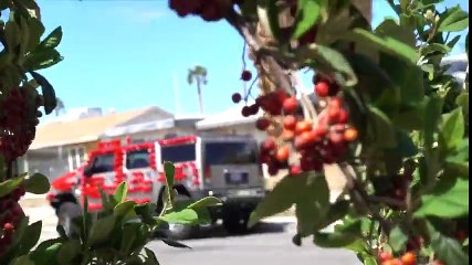 10,000 Plastik Bardak İle Hazırlanan Şaka