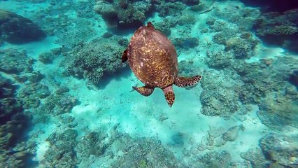 Gili Air - Bali - Batu Caves(000301.048-000331.391)