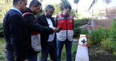 Polis Noktası Yakınına Bırakılan Oyuncak El Bombası Ortalığı Karıştırdı