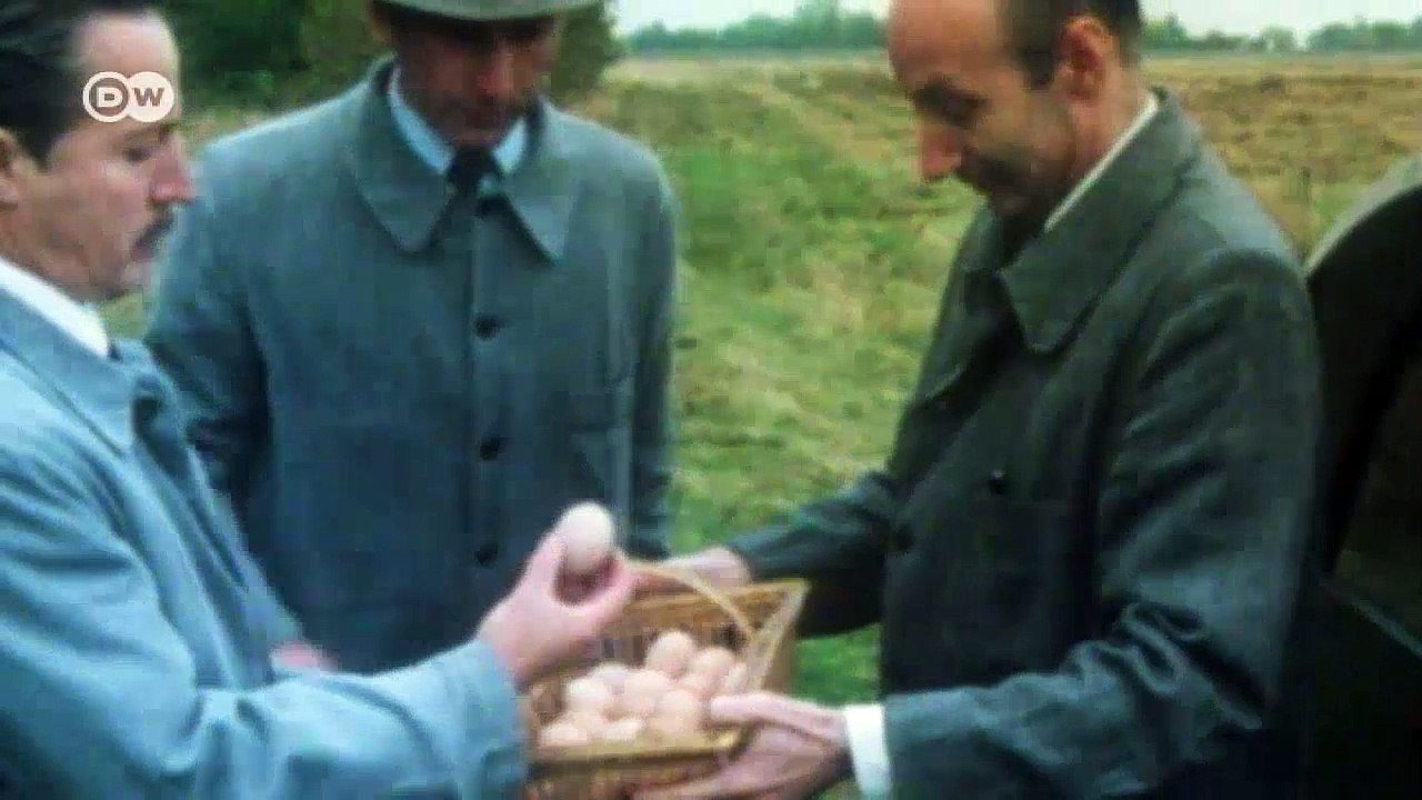 Ein richtiger volkswagen: citroen 2cv | dw deutsch