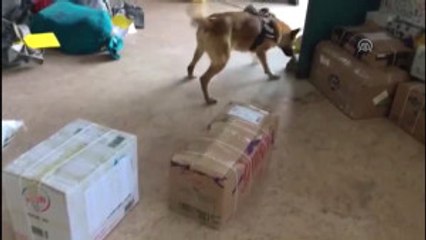 Fasulye Görünümlü 2 Kilo 463 Gram Afyon Sakızı Ele Geçirildi