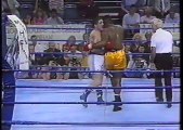 Lennox Lewis vs Andrew Gerrard  by MMA BOXING MUAY THAI 1989 09 25