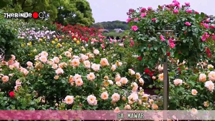 TAK RELA - Lagu Menyedihkan Tapi Enak