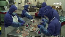 Bulgarian, Hungarian foie gras makers feed2342rwer