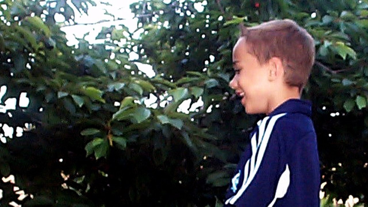 ca  fait  rire  les  oiseaux