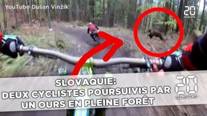 Slovaquie : un cycliste poursuivi  par un ours en pleine forêt