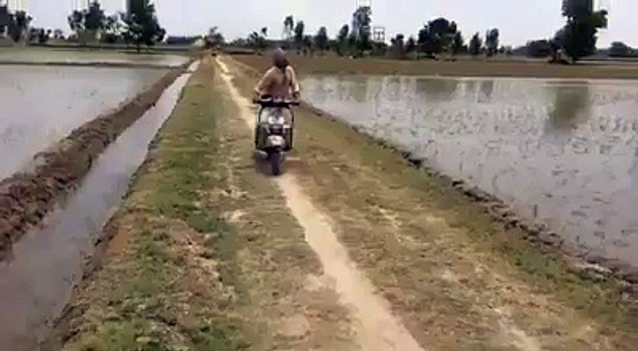 Funny Scootor