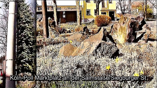 Auf großer Tour durch Köln – 2017 – 2