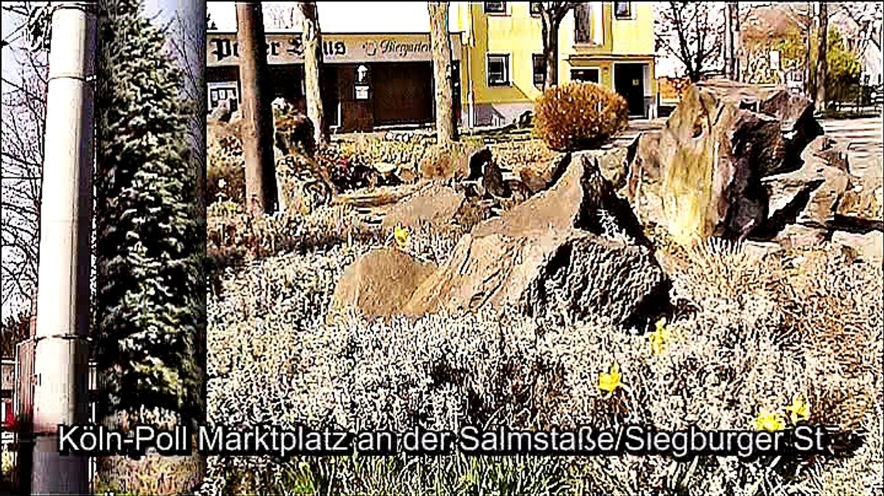 Auf großer Tour durch Köln – 2017 – 2