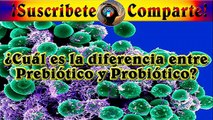 ¿Cual es la diferencia entre Prebiotico y Probiotico?