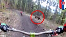 Helmet cam video captures insane moment bear chases down cyclist