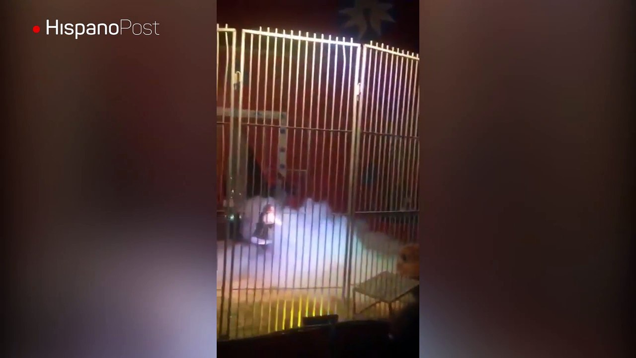 Fueron al circo a pasar un buen rato y presenciaron un película de horror