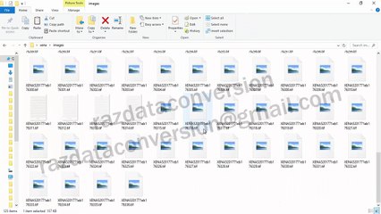 XENA Tif image to notepad conversion software