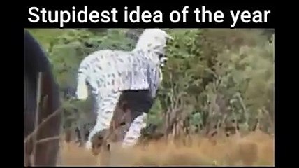 Funniest stupid ever