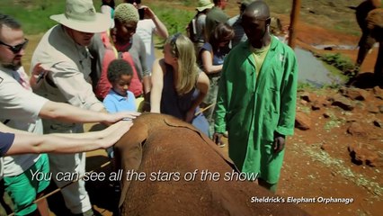 Welcome to Magical Kenya with Haven Safaris