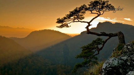 Adrian Skoczylas - Samotność 1993 (2011)