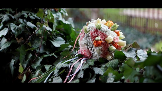 Przygotowania Paulina i Mateusz