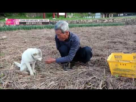 보이지 않는 남편의 오른팔... [엄마의 봄날] 41회 20160509