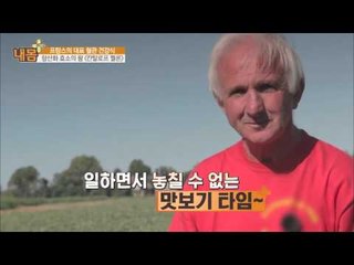 항산화 효소의 왕 '칸탈로프 멜론'에 대해 [내 몸 사용설명서 플러스] 5회 20160508