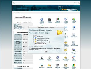 How to use Wordpress data to populate regular web pages