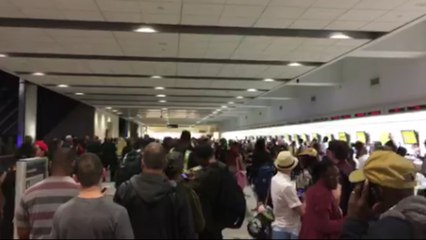 Brawl erupts at Florida airport over Spirit Airlines cancellations
