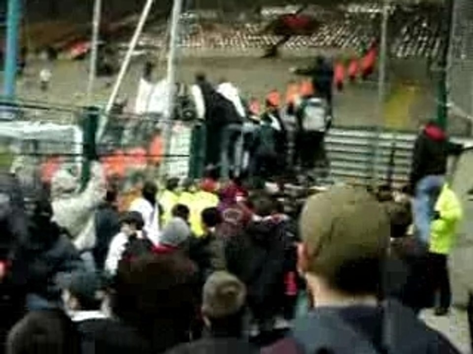 ultras lyonnais dep sté